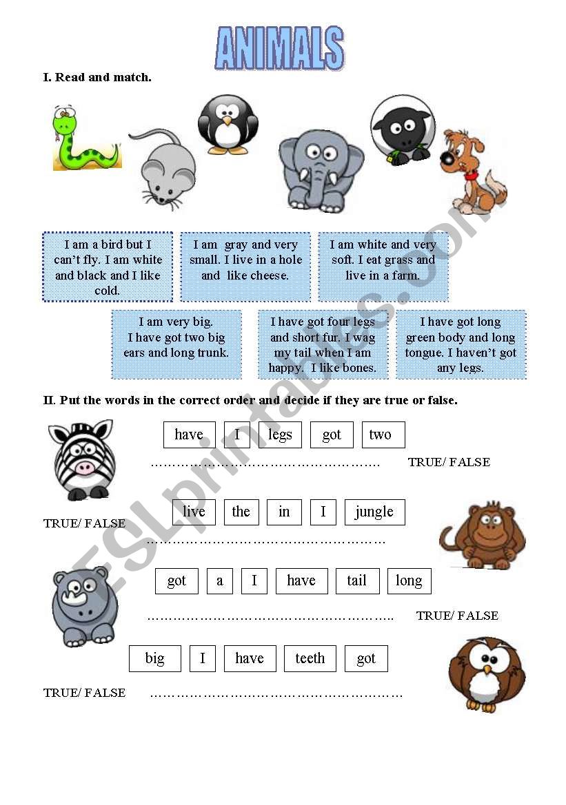 FUNNY ANIMALS worksheet