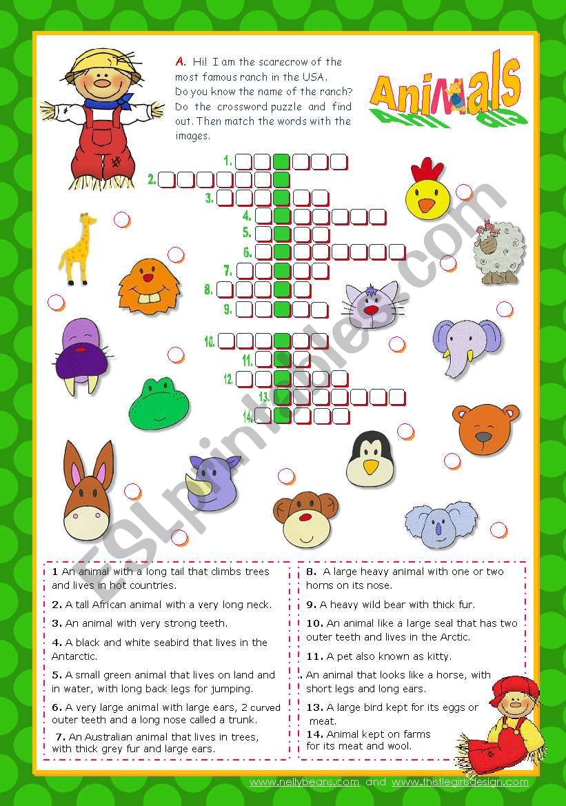 Animal crossword puzzle from the 