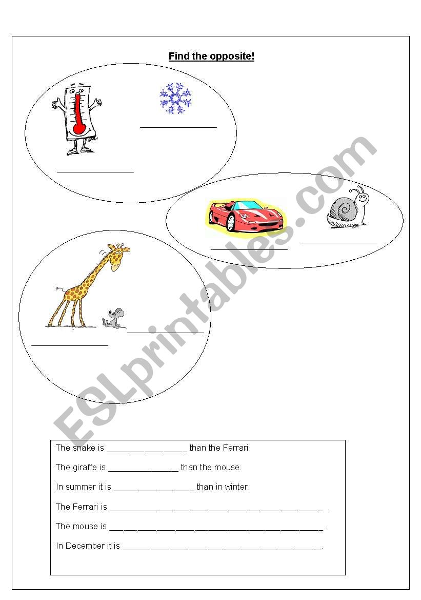 opposites  worksheet