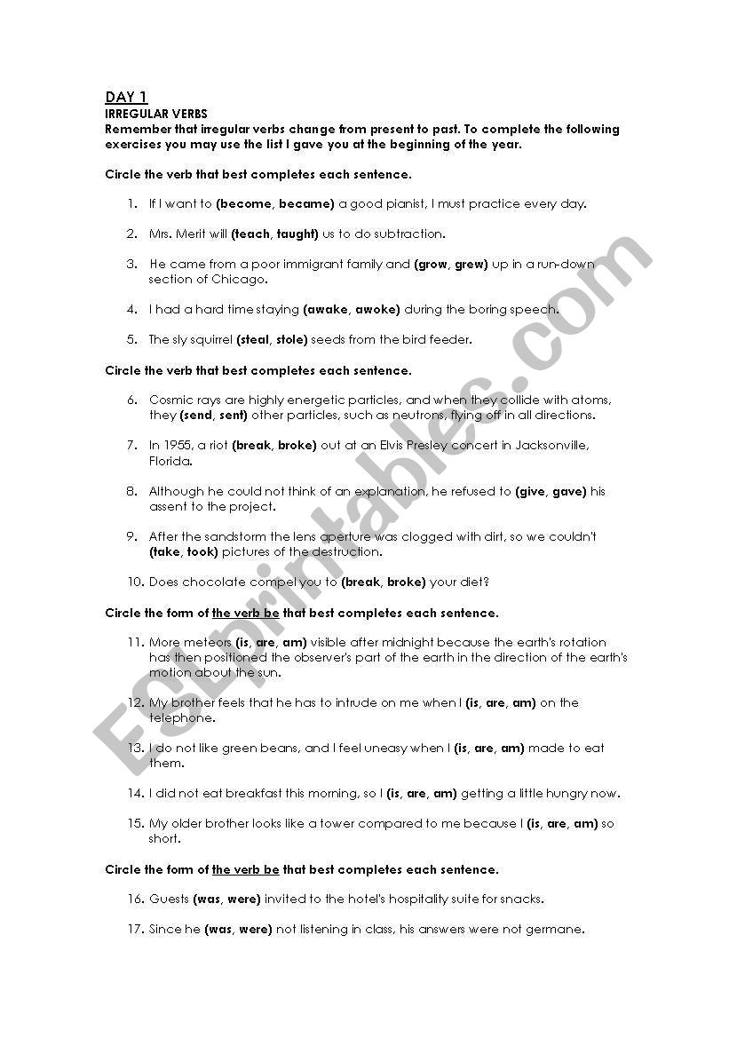 Grammar Review worksheet