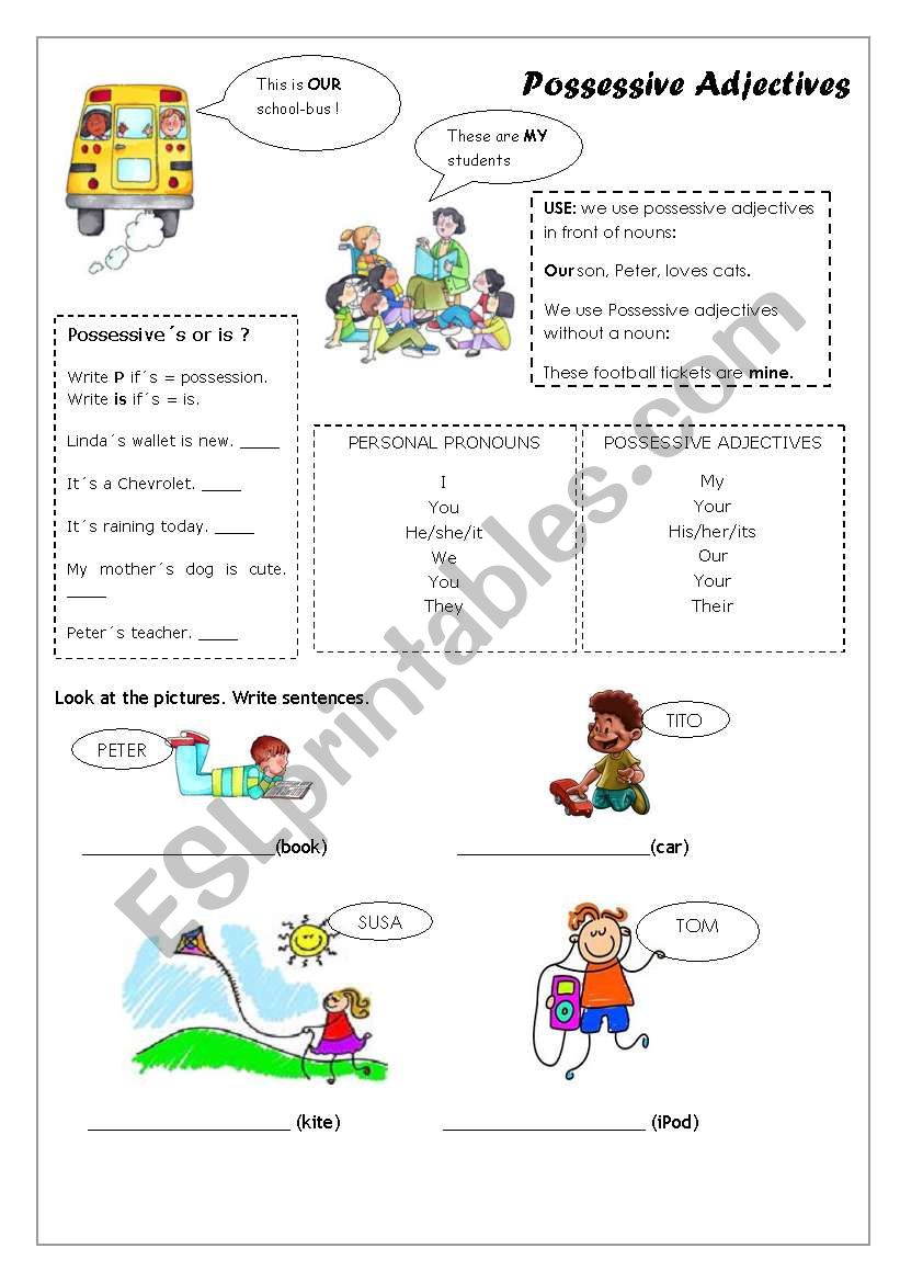 Possessive Adjectives  worksheet