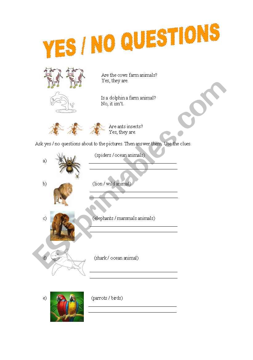 YES/NO QUESTIONS worksheet