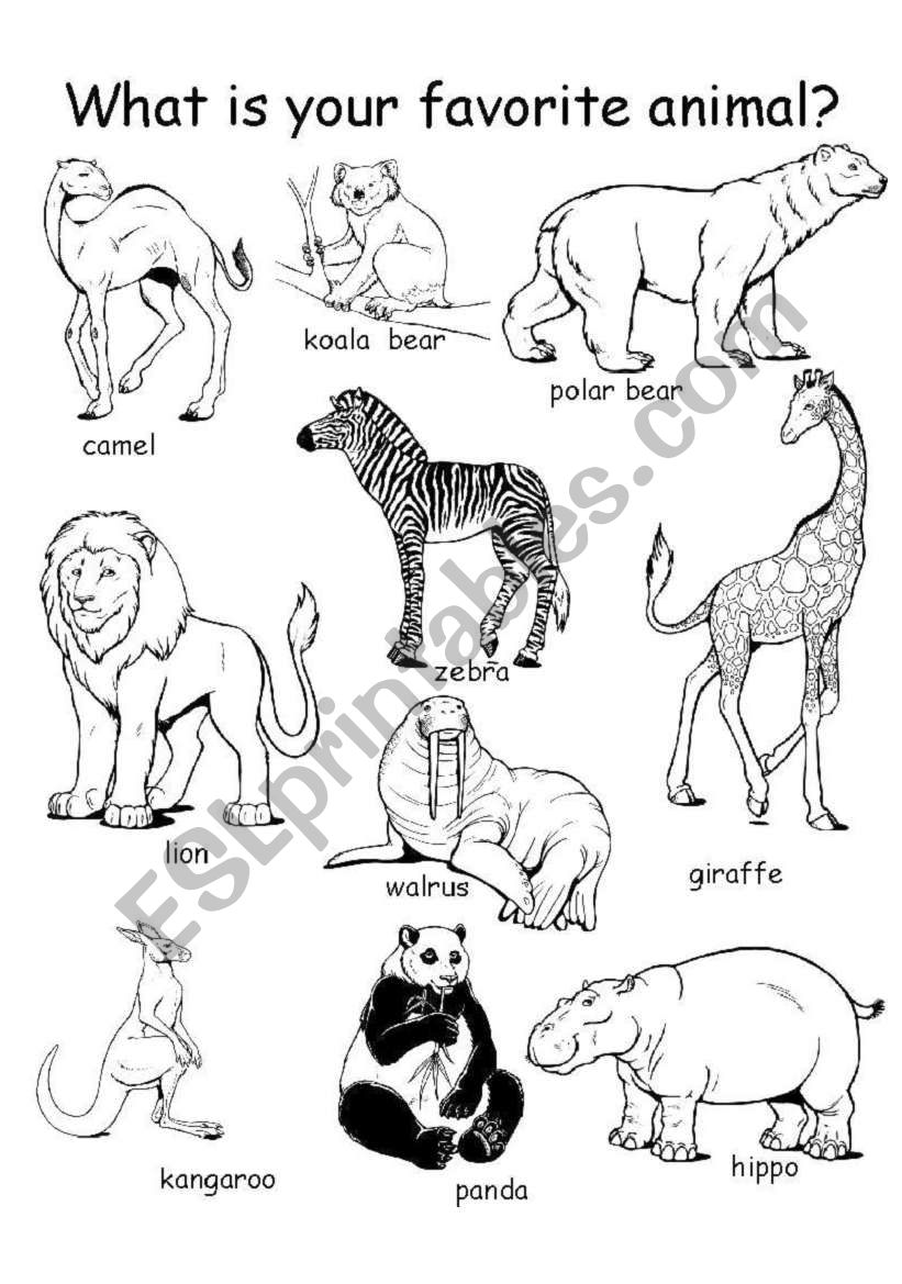 Animal Theme Worksheet set worksheet