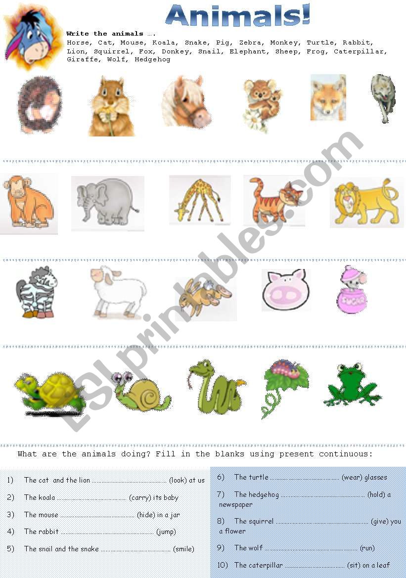 Animals worksheet