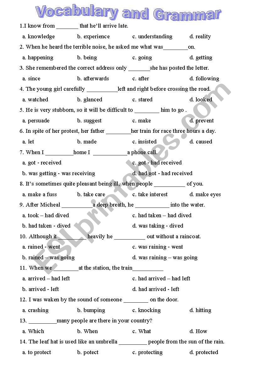 vocabulary and grammar  worksheet