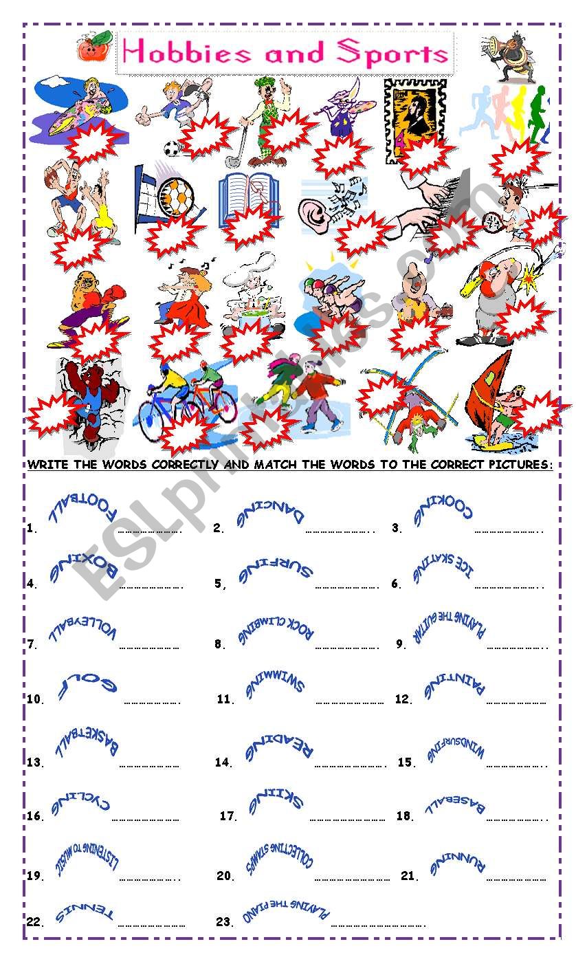 Hobbies and Sports worksheet