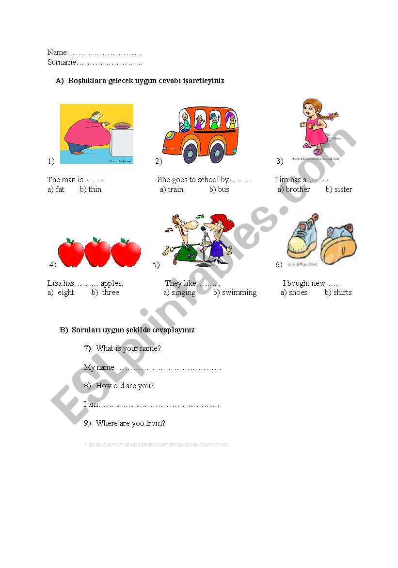Test Grammer and vocabulary worksheet