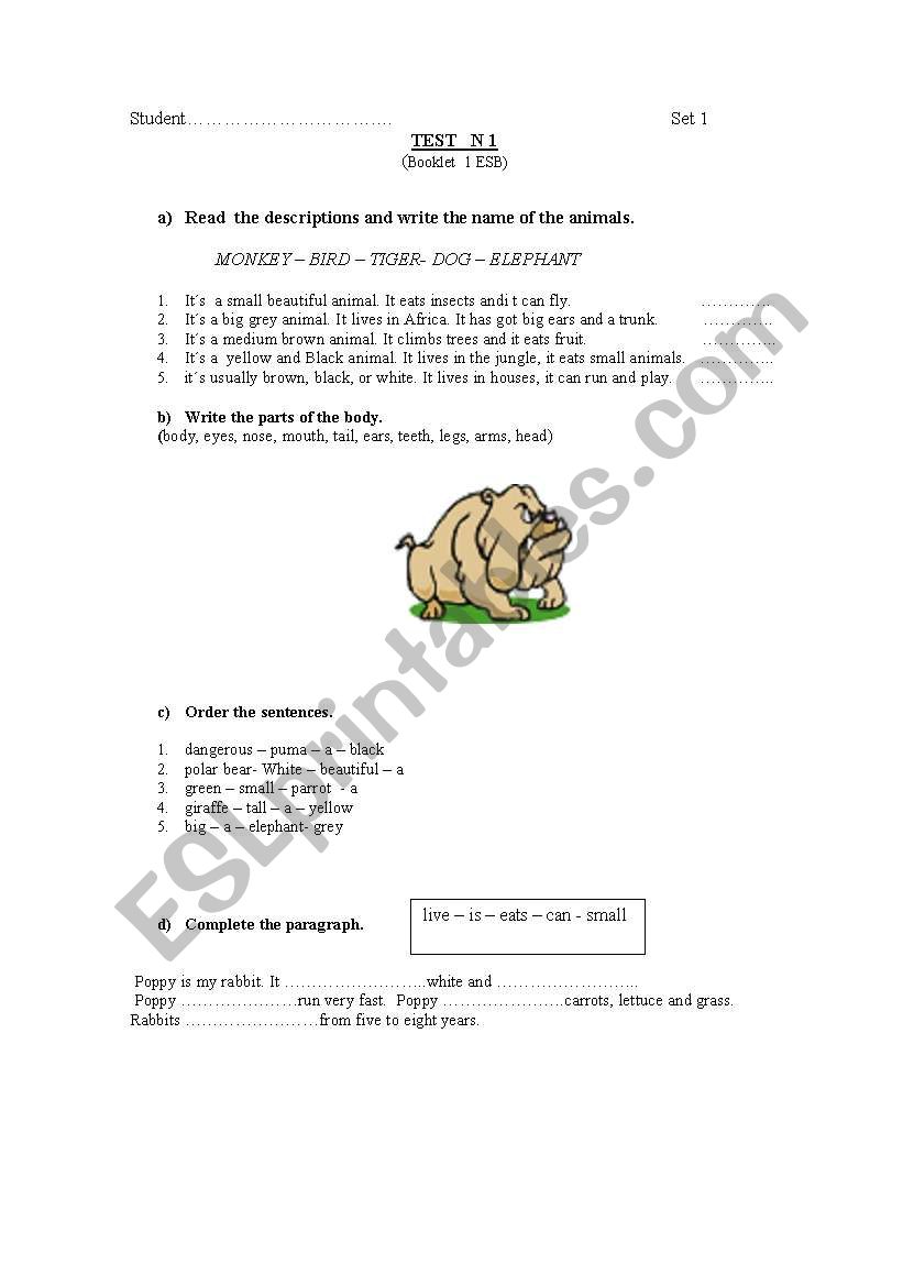 Animals worksheet