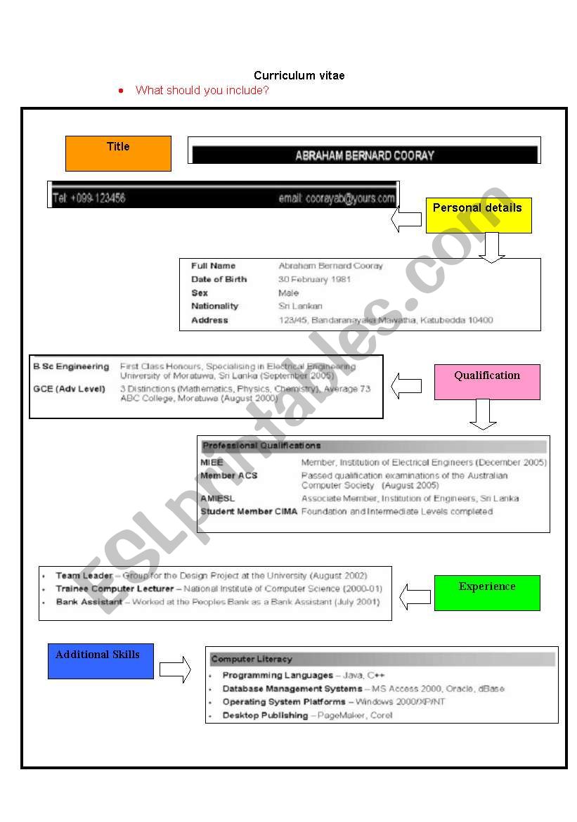 elements of a Curriculum Vitae 