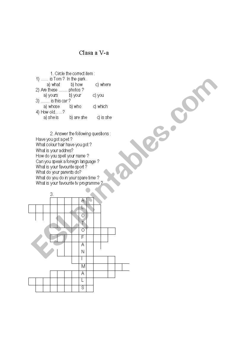 5th grade test worksheet