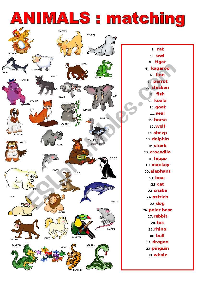 animals matching worksheet