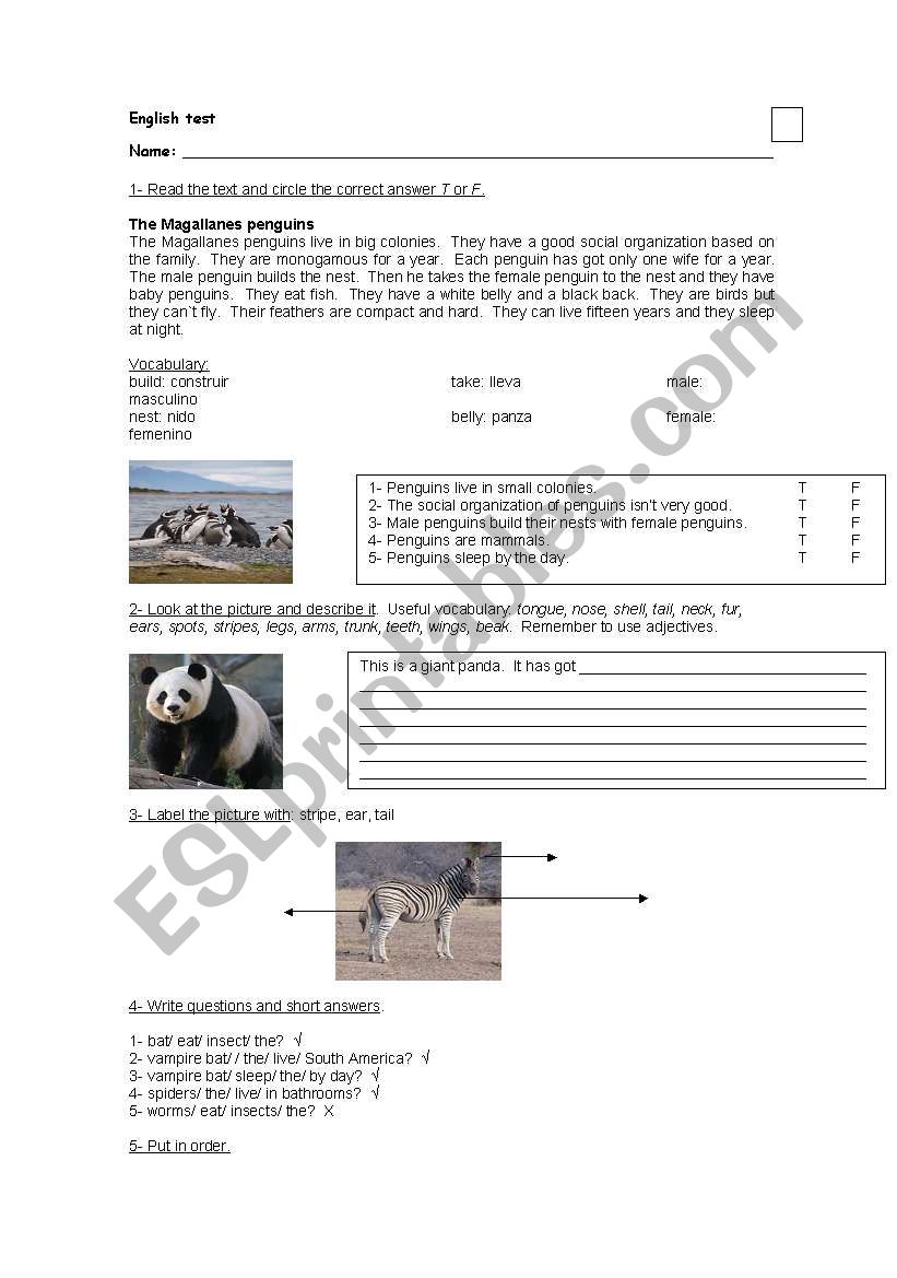 English test about animals worksheet