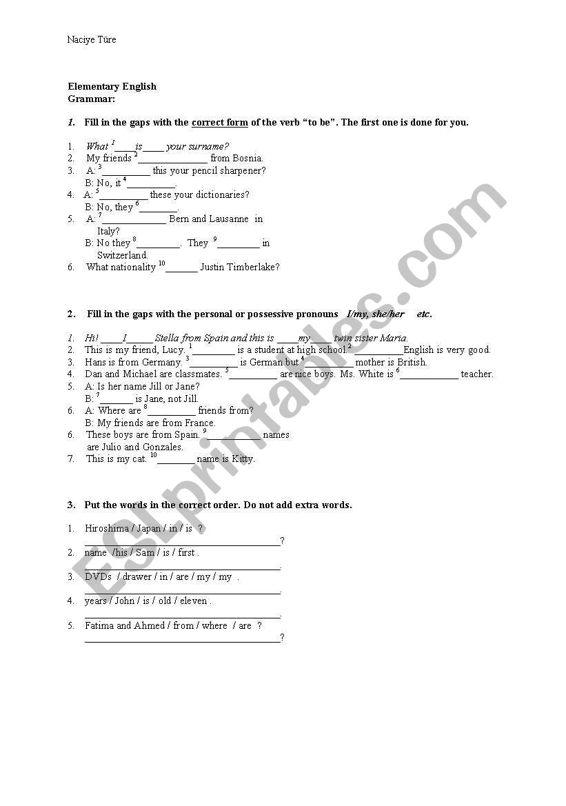 Elementary English - Test on elementary Grammar  and Reading 