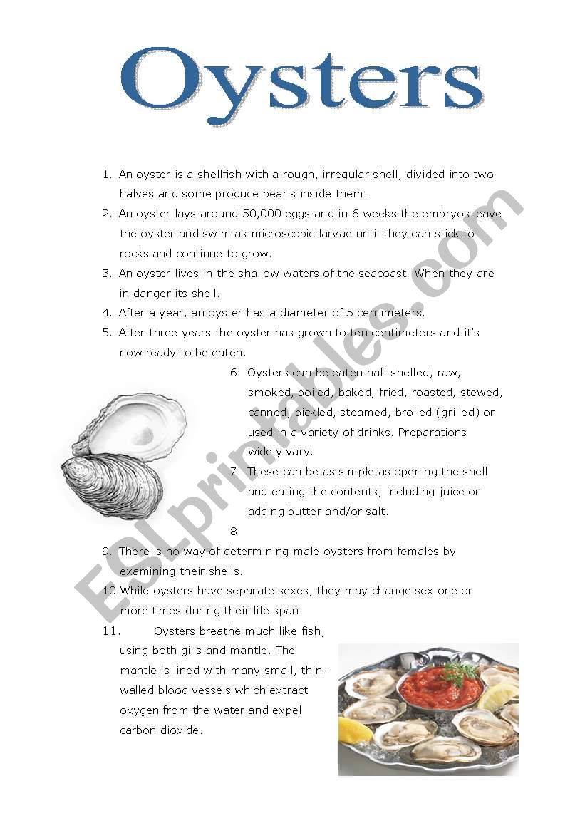 Oysters worksheet