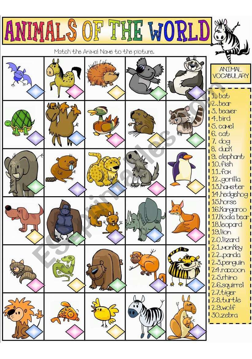 Animals of the World worksheet