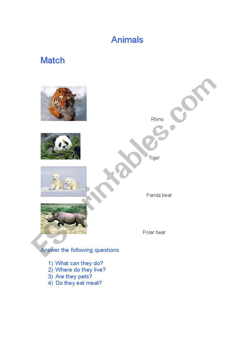 Animals worksheet