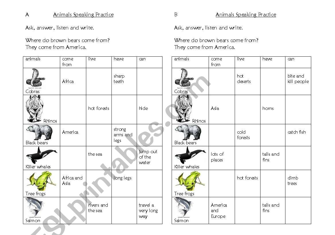 Animals Paired Speaking Gapfill Activity