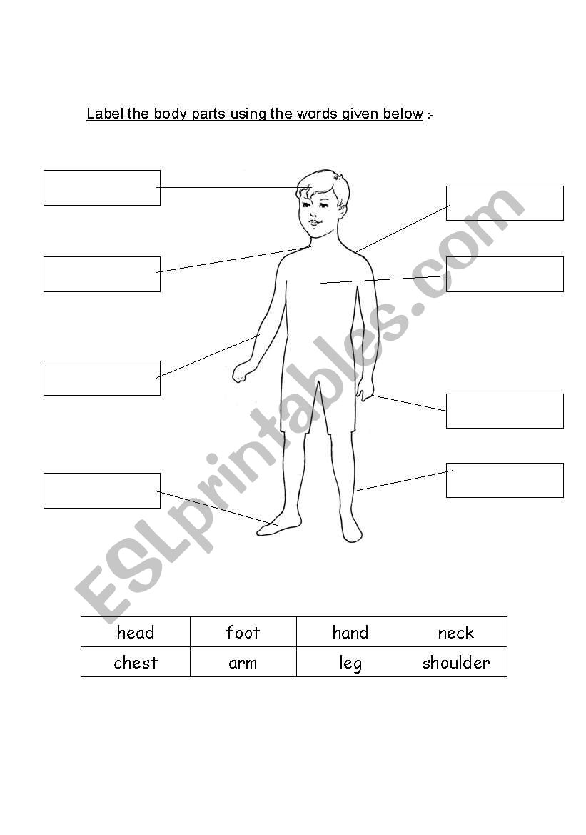 label the body parts worksheet