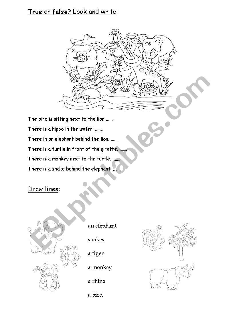 Jungle animals worksheet