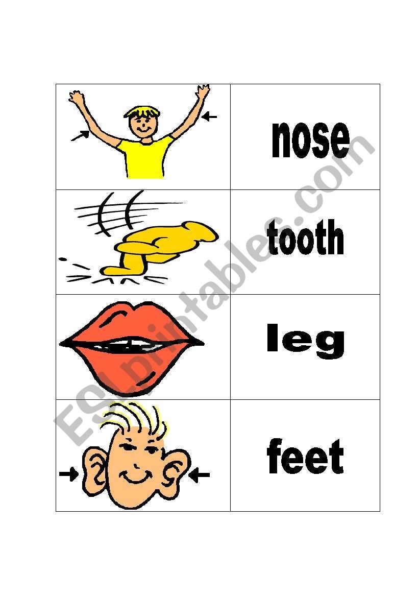 BODY PARTS DOMINO worksheet