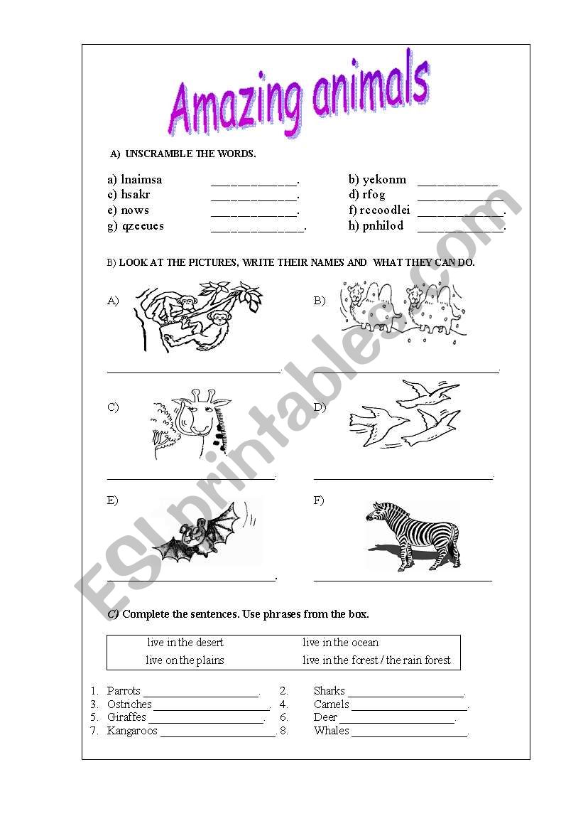 amazing animals worksheet