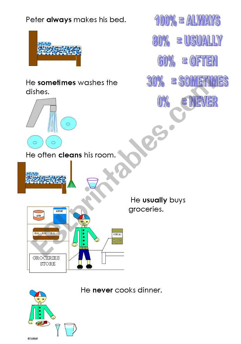   Frecuency adverbs worksheet