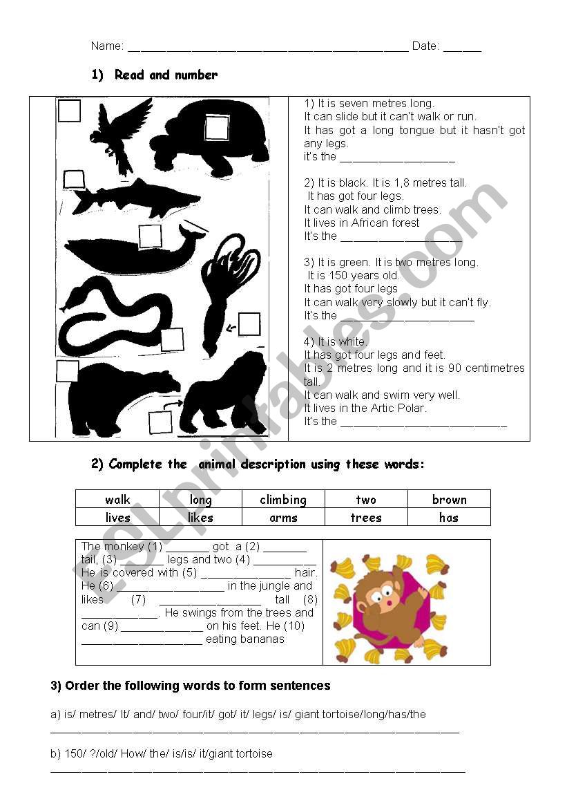 animal description worksheet