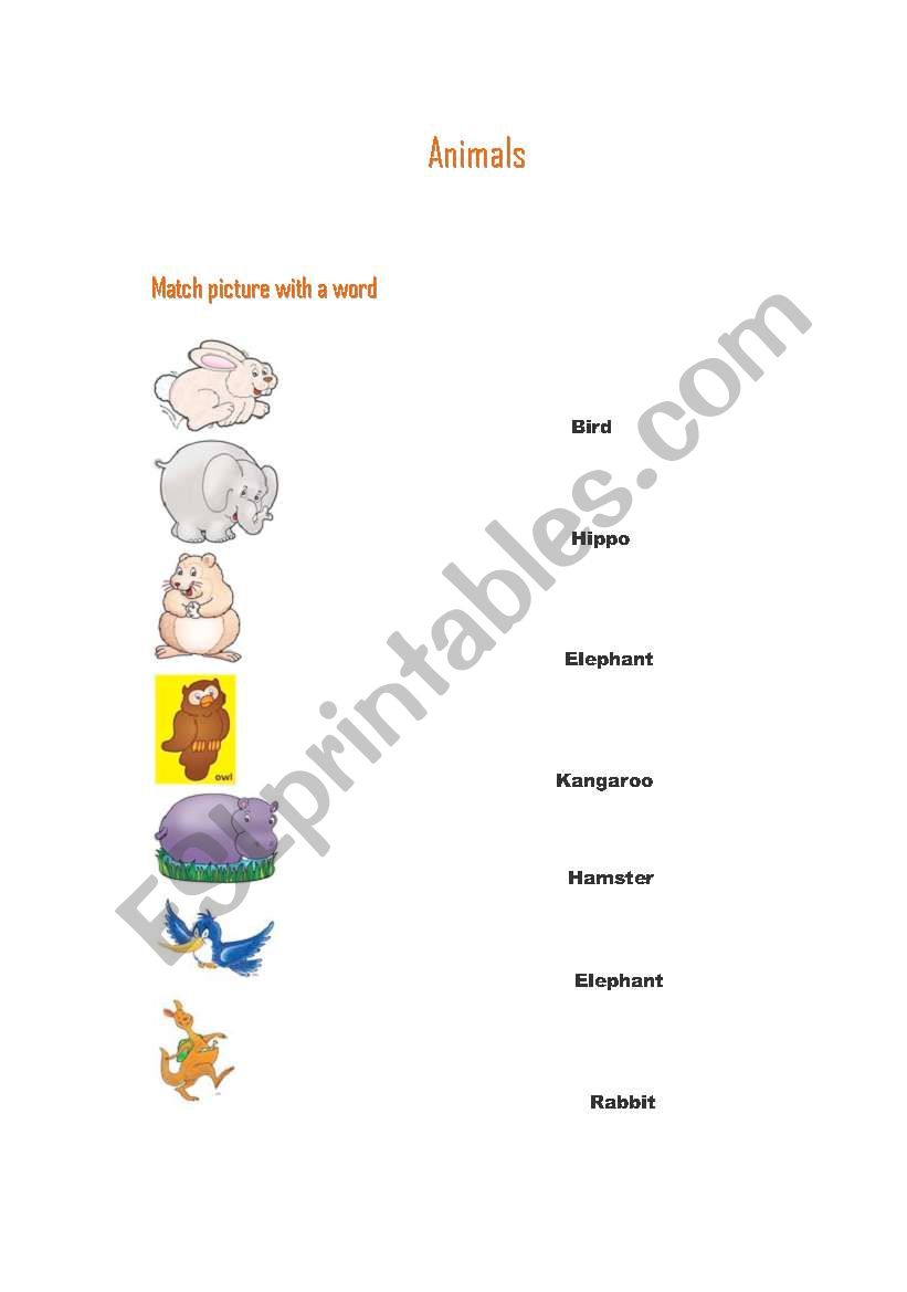 Animals worksheet