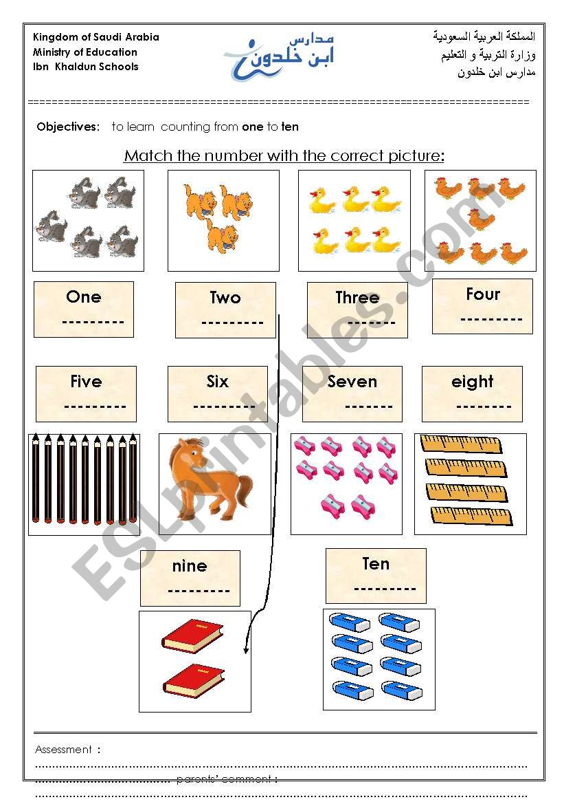 numbers worksheet