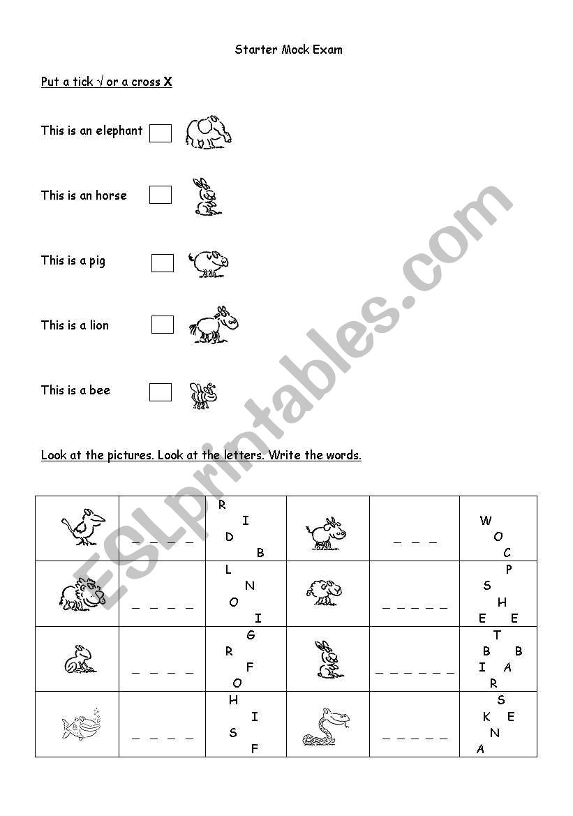 Starter exam worksheet