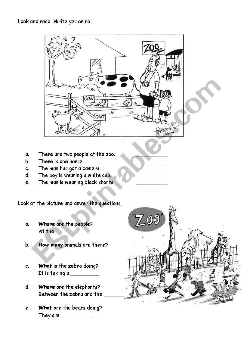 Starter exam worksheet