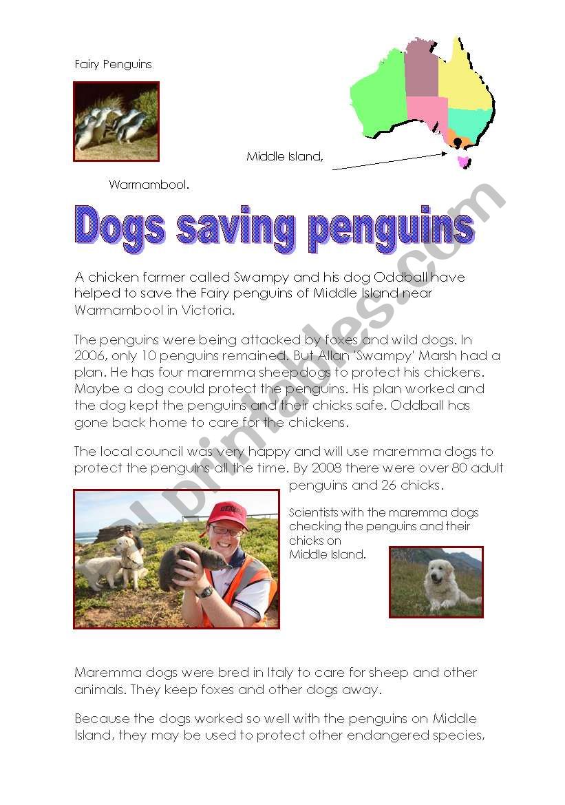 Dogs saving penguins- Pre-Intermediate