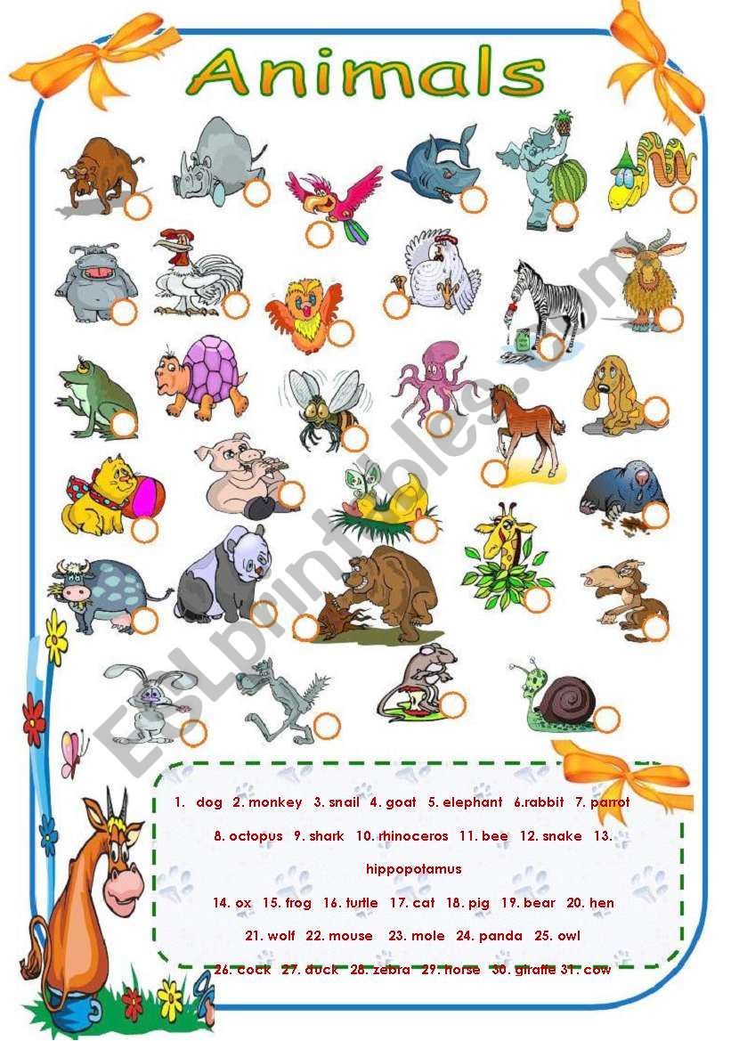 Animals worksheet