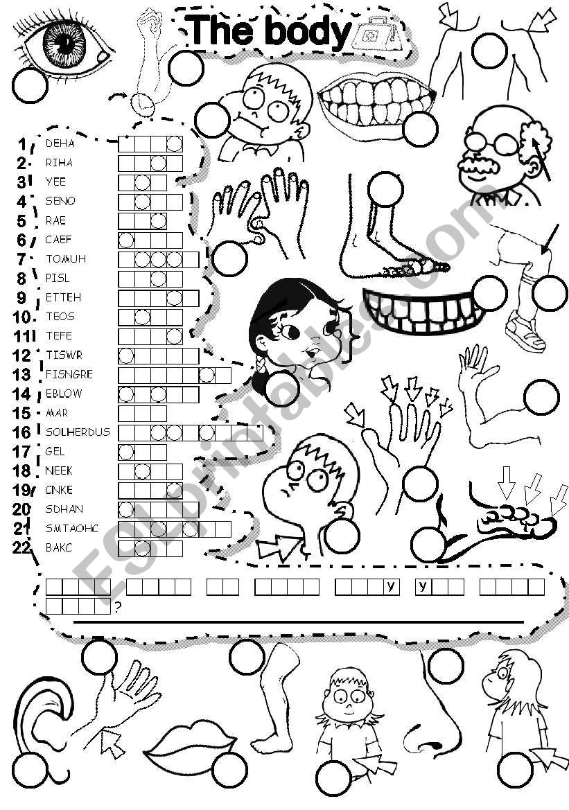THE BODY PUZZLE worksheet