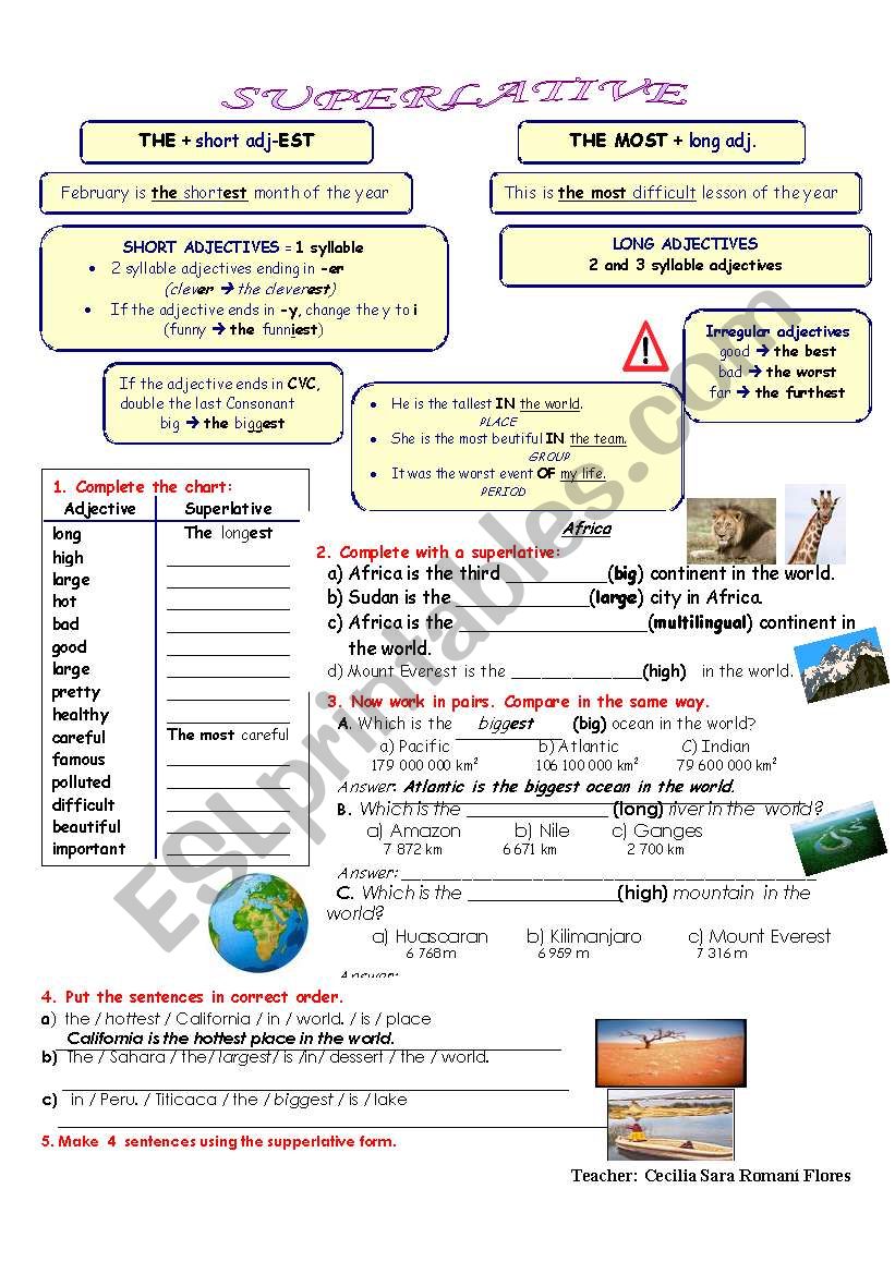 Superlative worksheet