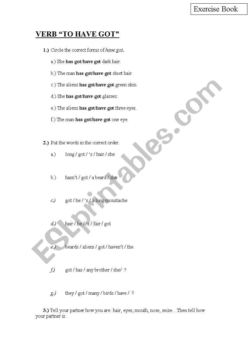 verb to have got exercises worksheet