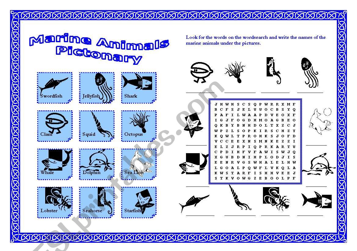 Marine Animals Pictionary + Wordsearch