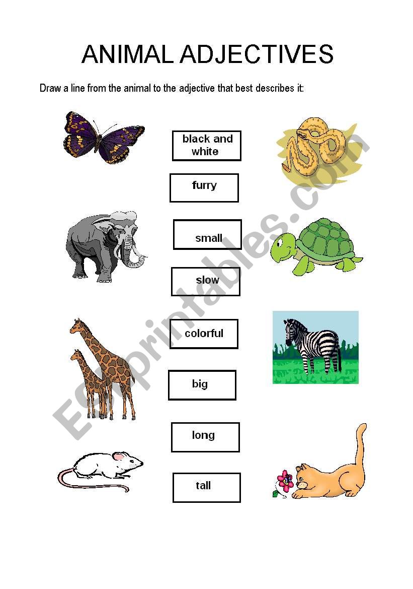 Animal adjectives worksheet