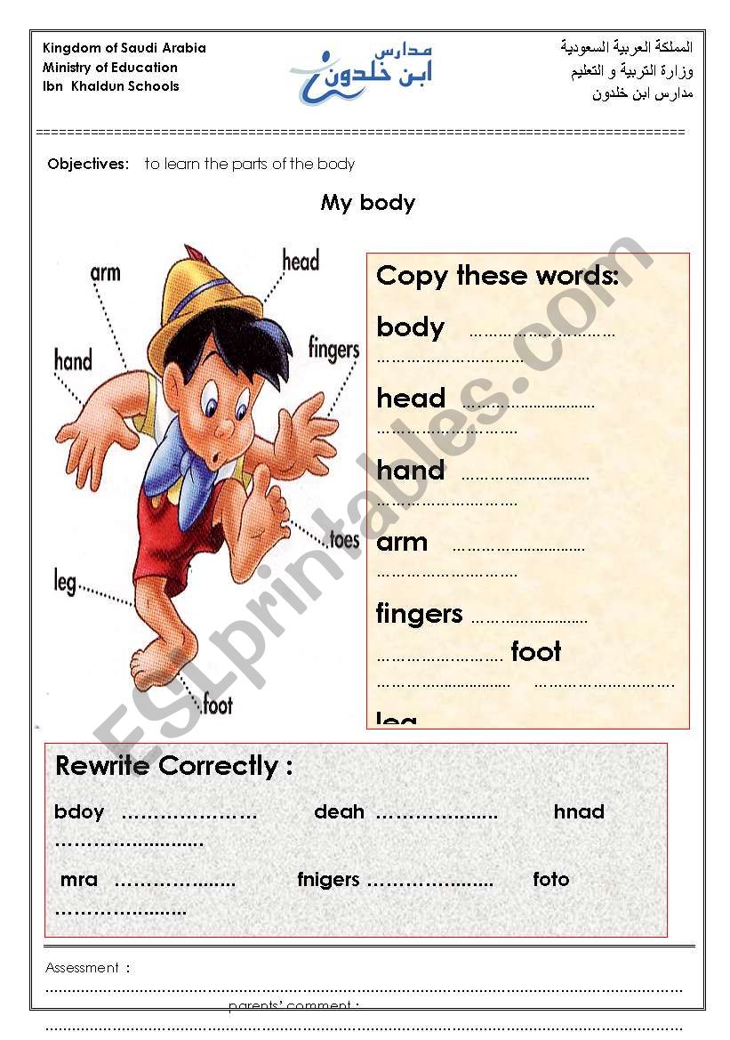 my body worksheet