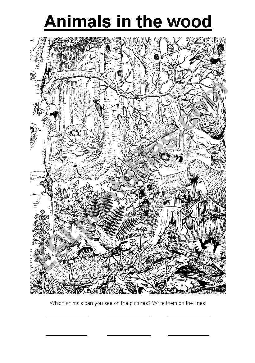Animals in the wood worksheet