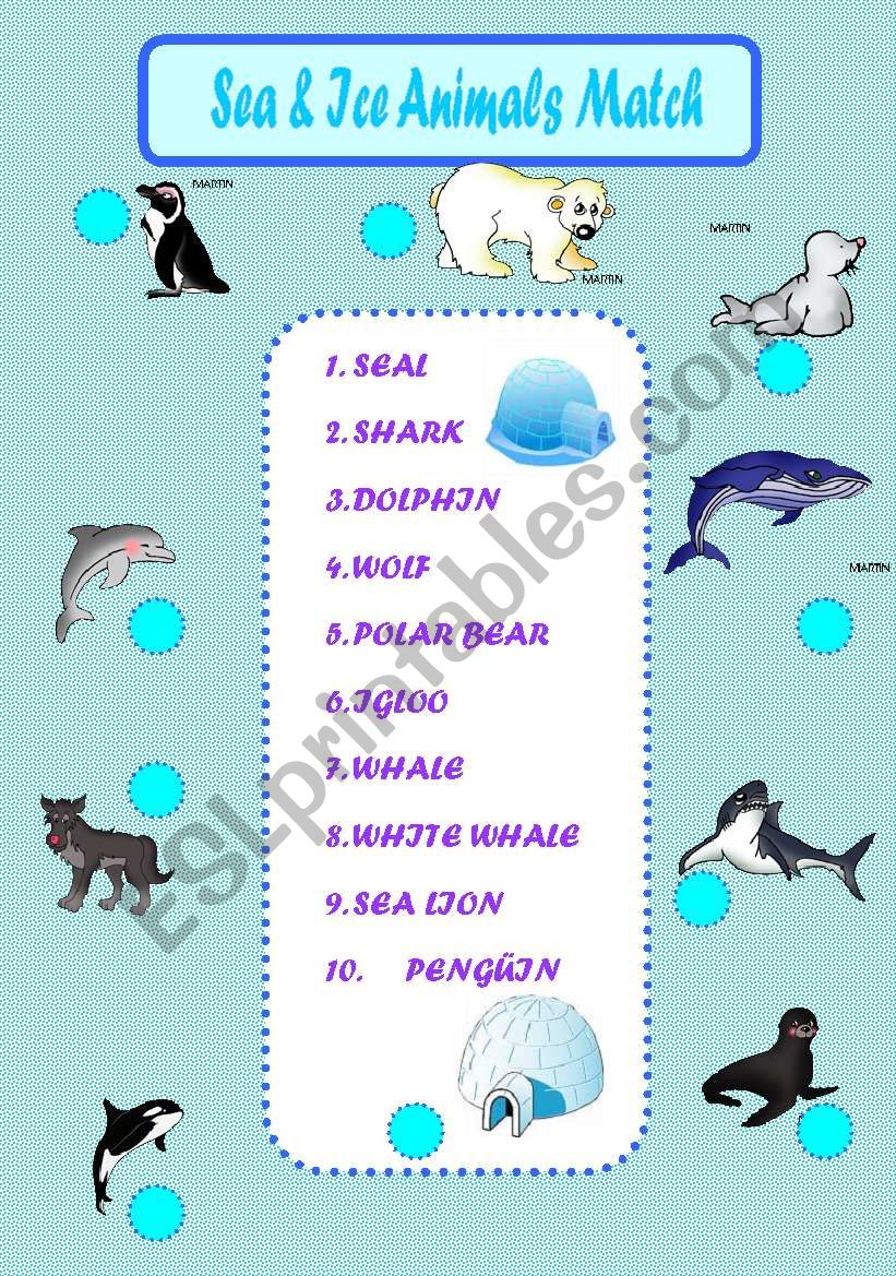 Sea & Ice Animals Match worksheet