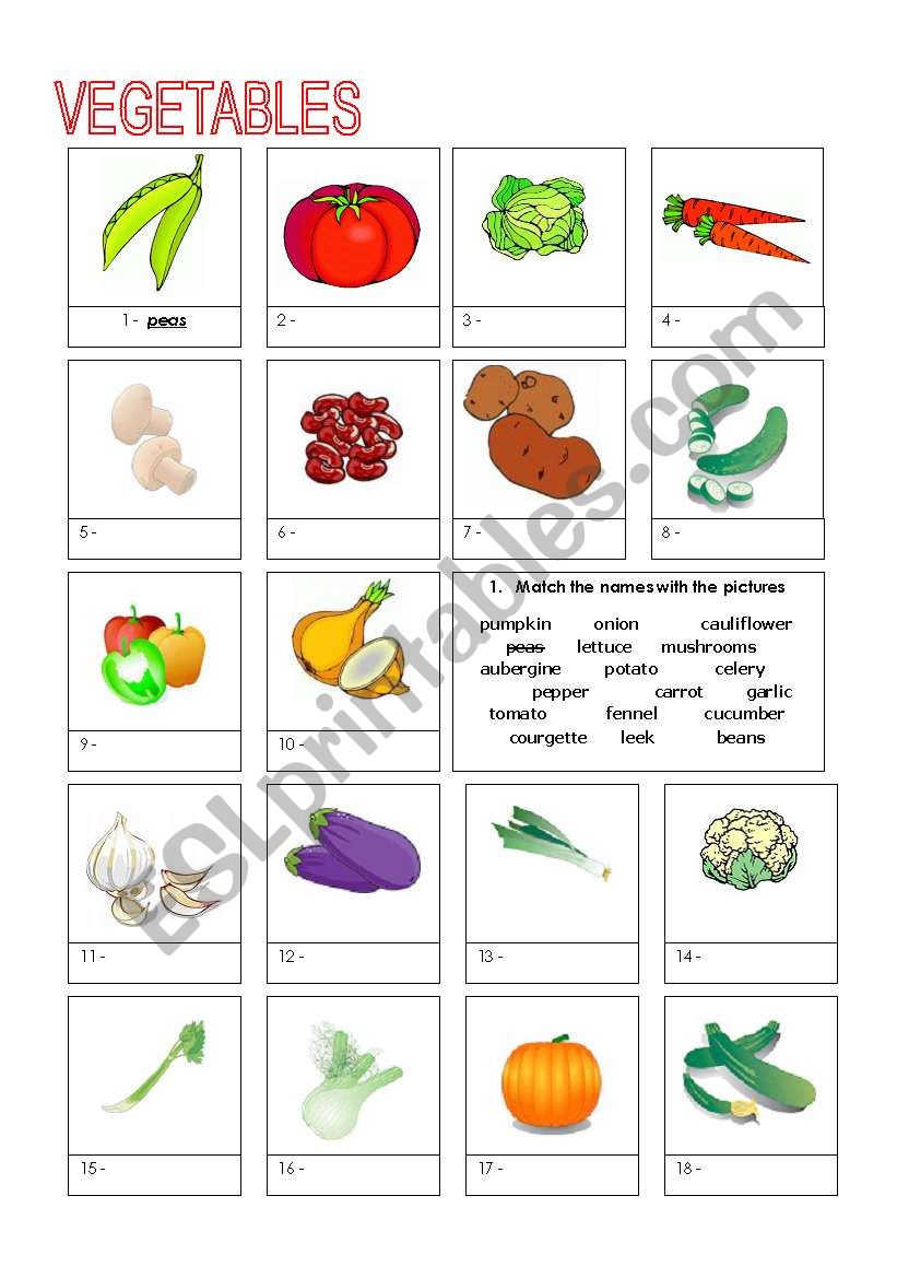 vegetables matching worksheet