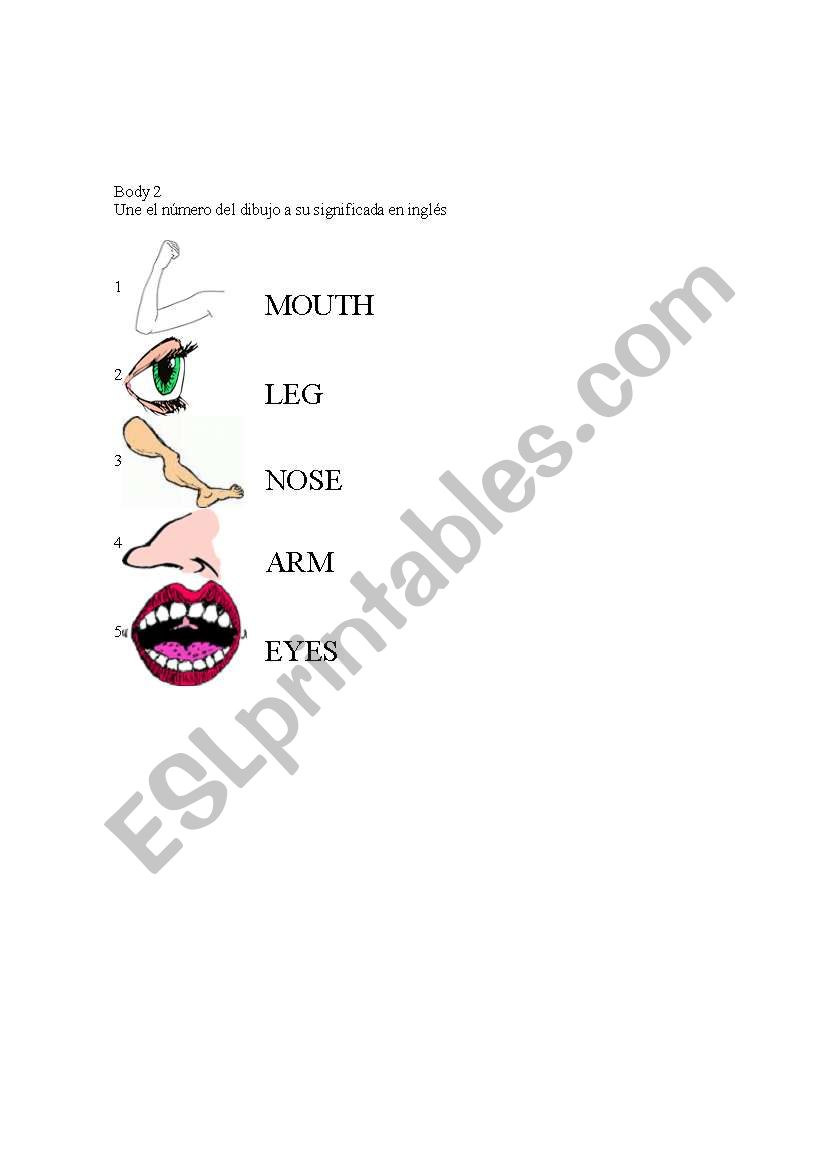 match the draw with the word worksheet