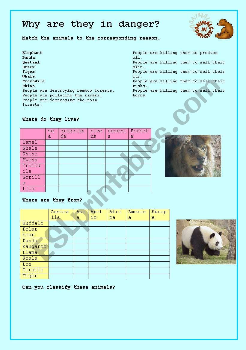 Animals in danger worksheet