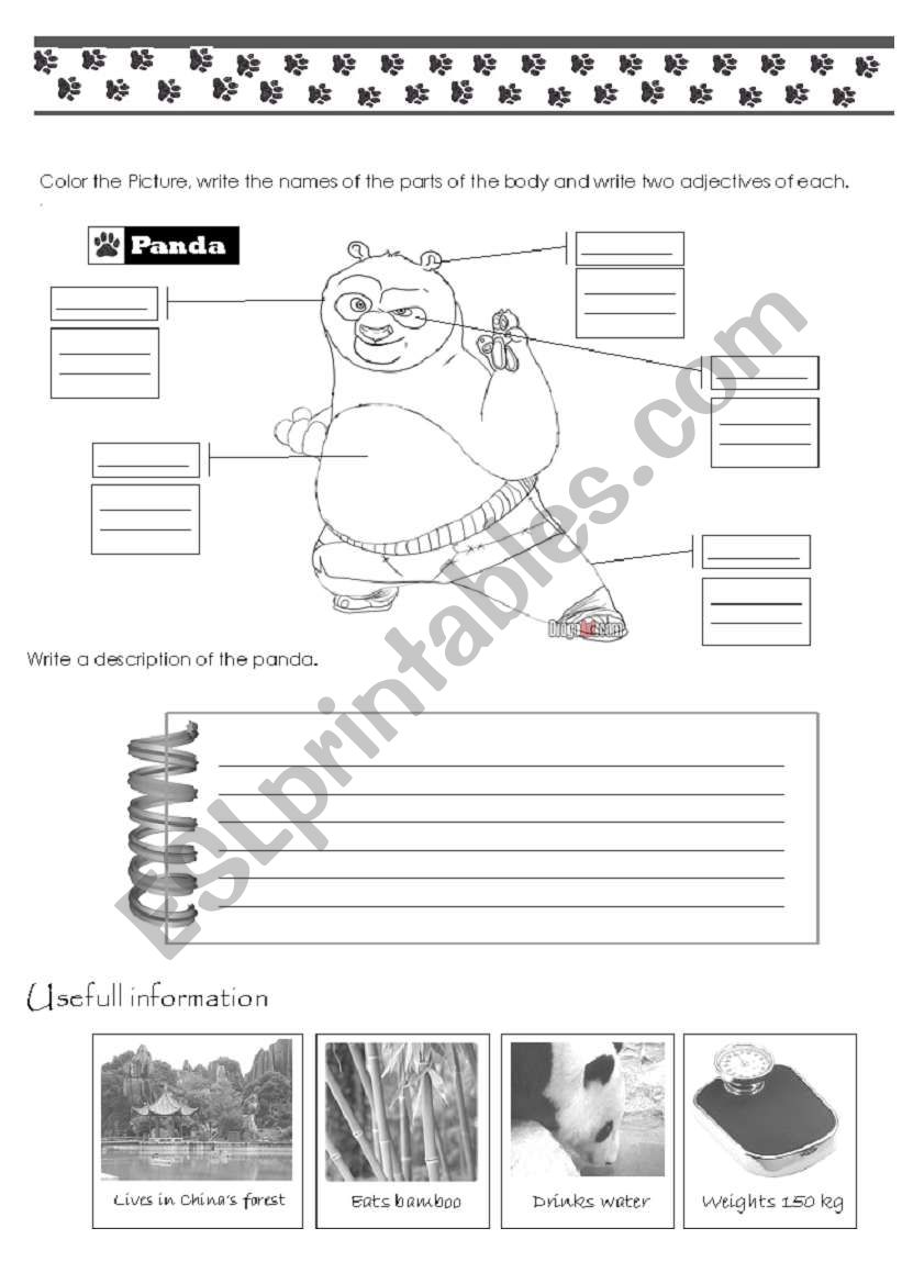 Describing animals worksheet