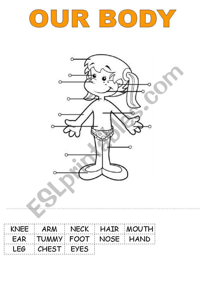 OUR BODY worksheet