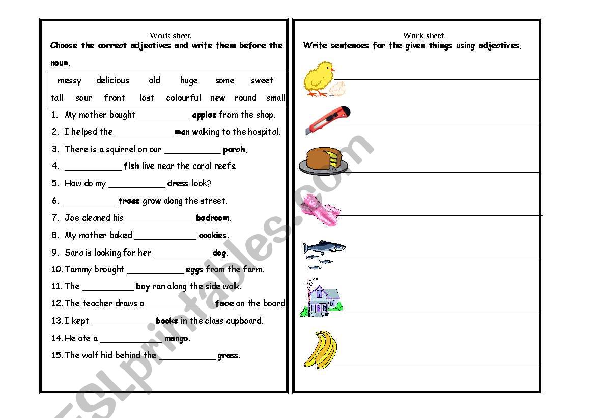 adjectives worksheet