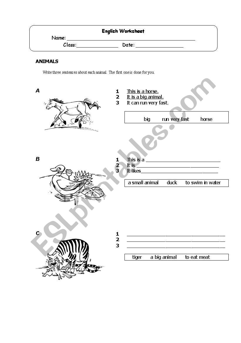 Animals worksheet