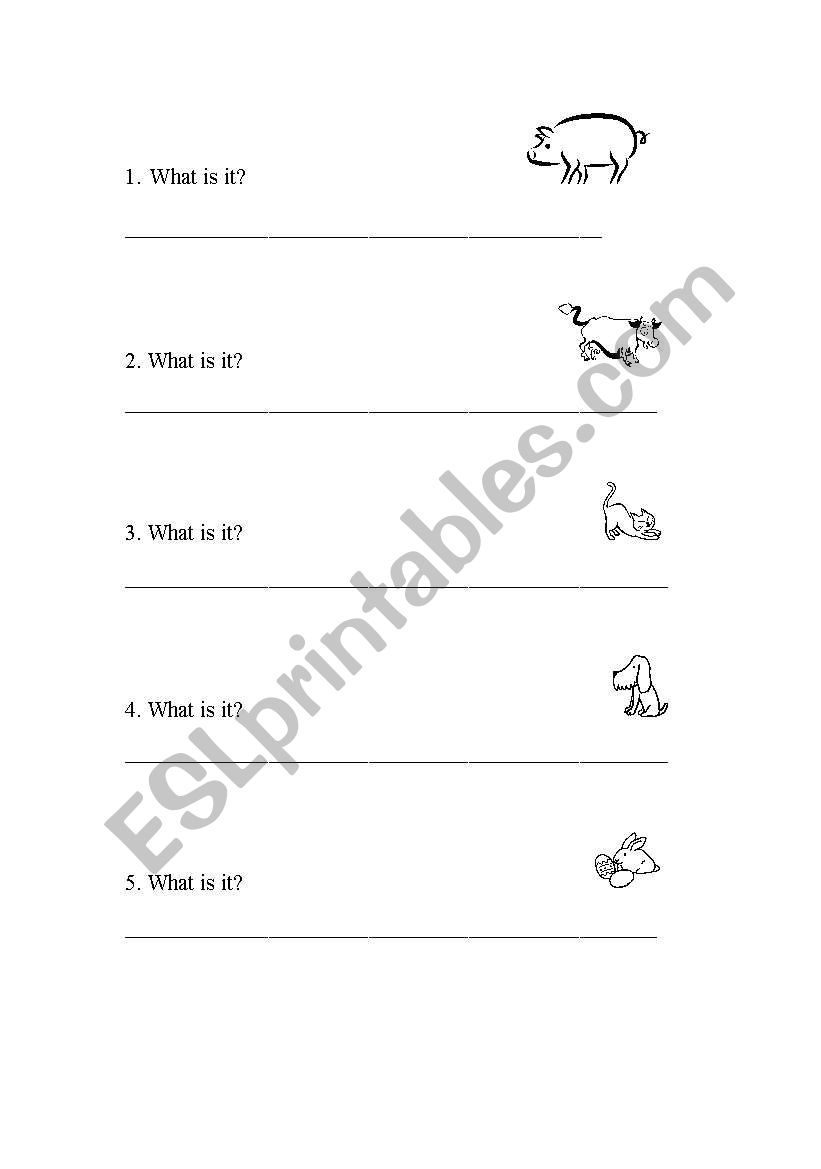 What is it? worksheet