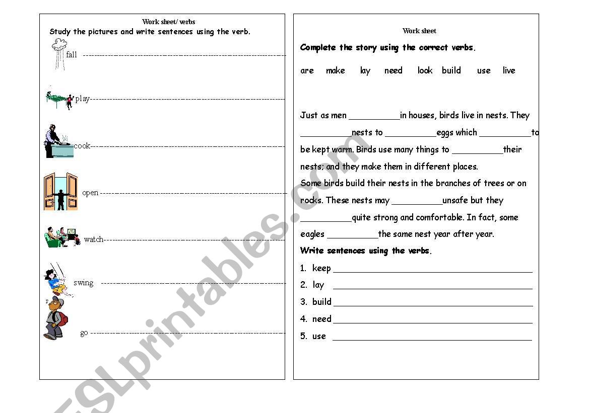 verbs worksheet